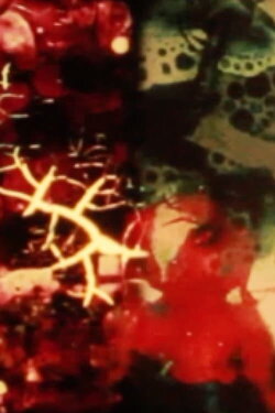 Decomposed Landscapes (2019)