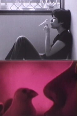 Dedicated to M (2002)
