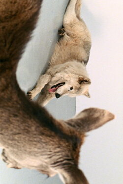 Deeparture (2005) Deeparture (2005)