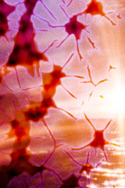 Deepest Darkness, Flaming Sun (2021)