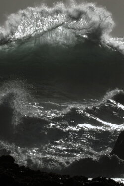 Deepwater Currents (2020)
