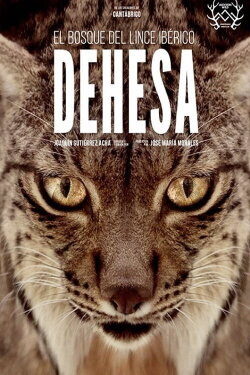 Dehesa: The Forest of the Iberian Lynx (2020) Dehesa: The Forest of the Iberian Lynx (2020)