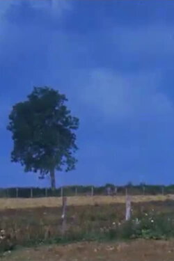 Dehors (1985)