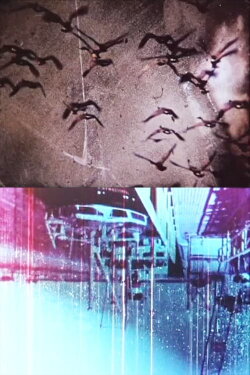 Deliquium (2003)