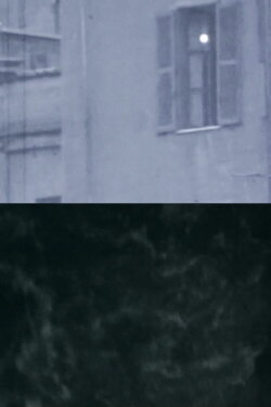 Dell'Acqua (1966)