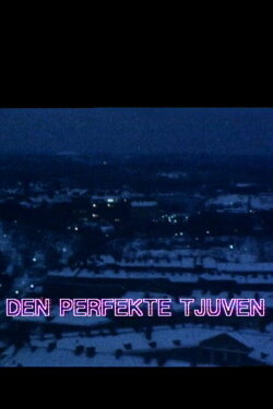 Den perfekte tjuven (1979) Den perfekte tjuven (1979)