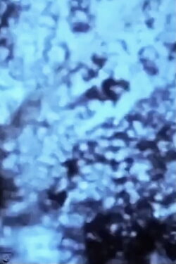 dephilogistication (2023) dephilogistication (2023)