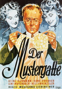 Der Mustergatte (1980)