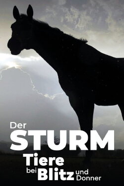 Der Sturm - Tiere bei Blitz und Donner (2023) Der Sturm - Tiere bei Blitz und Donner (2023)