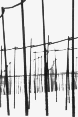 Der weiße Hopfengarten (1966) Der weiße Hopfengarten (1966)