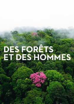 Forests and People (2011) Forests and People (2011)