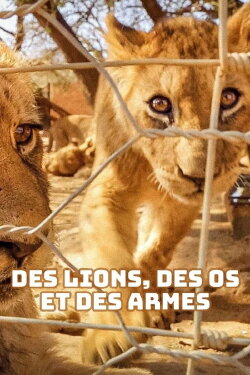 Des lions, des os et des armes - Le trafic des fauves (2021) Des lions, des os et des armes - Le trafic des fauves (2021)
