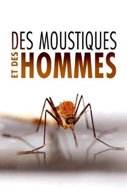Des Moustiques et des Hommes (2022) Des Moustiques et des Hommes (2022)