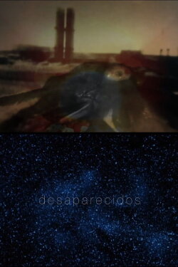 Desaparecidos (2020)