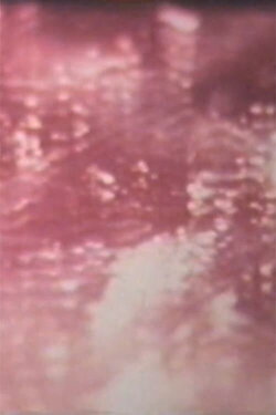 Desert in Sunlight (1969) Desert in Sunlight (1969)