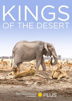 Desert Lions (2017) Desert Lions (2017)