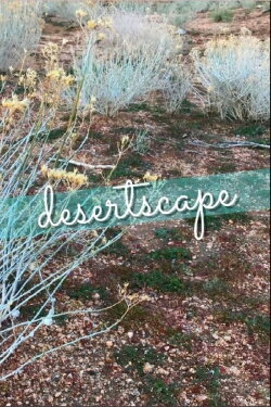 Desertscape (2023) Desertscape (2023)