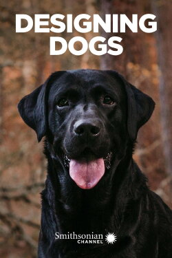 Designing Dogs (2007) Designing Dogs (2007)