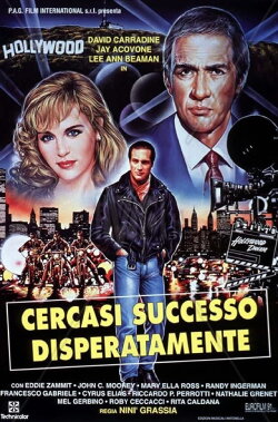 Desperately Looking For Success (1994)