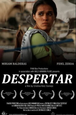 Despertar (2011)
