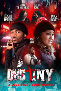 Destiny: A Love Story Gone Wrong (2024) Destiny: A Love Story Gone Wrong (2024)