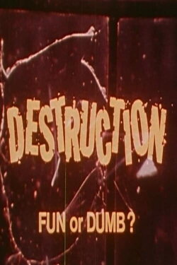 Destruction: Fun or Dumb? (1976) Destruction: Fun or Dumb? (1976)