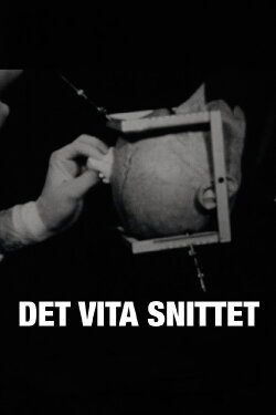 Det vita snittet (2010) Det vita snittet (2010)