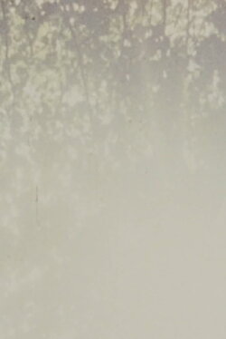 D'étranges vues et de joyeux vestiges (2018) D'étranges vues et de joyeux vestiges (2018)