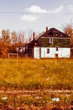 Detroit Transect: Spine (2014) Detroit Transect: Spine (2014)