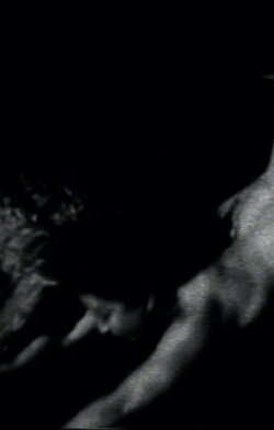 Deviant Beauty (1996) Deviant Beauty (1996)