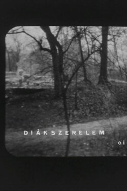 Diákszerelem (1968) Diákszerelem (1968)