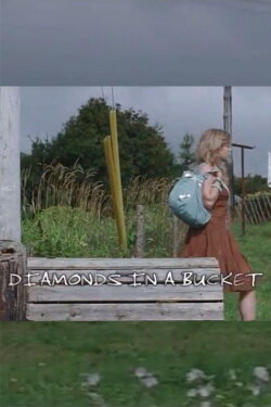 Diamonds in a Bucket (2007) Diamonds in a Bucket (2007)