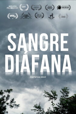 Diaphanous blood (2022) Diaphanous blood (2022)