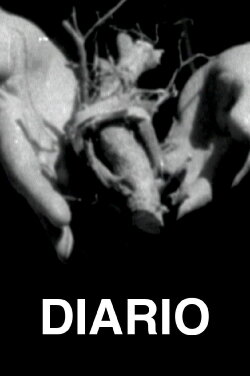 Diario (2009) Diario (2009)