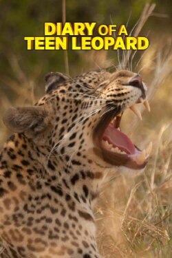 Diary of a Teen Leopard (2020) Diary of a Teen Leopard (2020)
