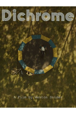 Dichrome (2020)