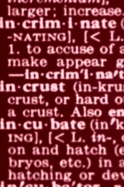 Dictionary (1975)