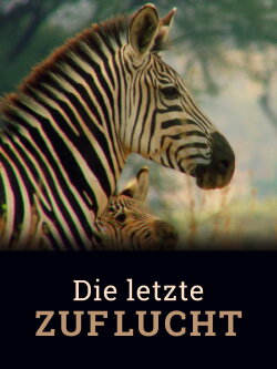 Die letzte Zuflucht (2020) Die letzte Zuflucht (2020)