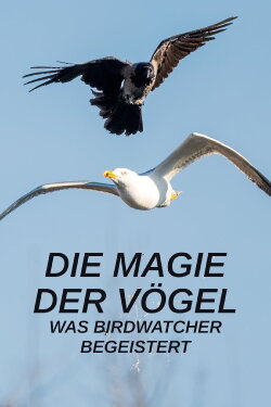 Die Magie der Vögel - Was Birdwatcher begeistert (2023) Die Magie der Vögel - Was Birdwatcher begeistert (2023)