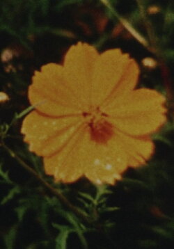 Die Spielerei (1995)