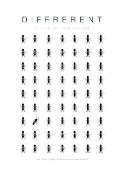 Diffrerent (2017) Diffrerent (2017)