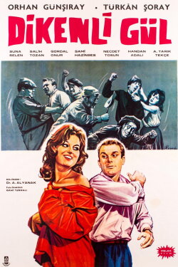 Dikenli Gül (1961) Dikenli Gül (1961)