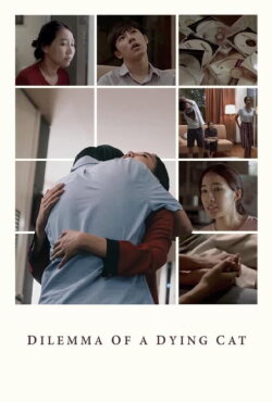 Dilemma Of A Dying Cat (2018)