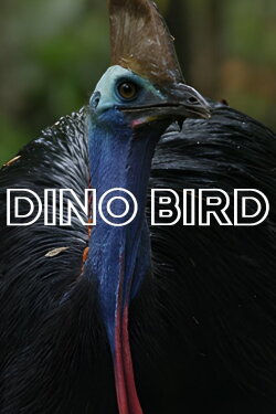 Dino Bird (2017)