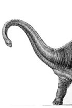 Diplodocus at Large (1953) Diplodocus at Large (1953)