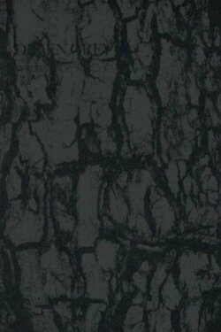 Dir En Grey - Tour 14 Psychonnect - Mode Of 