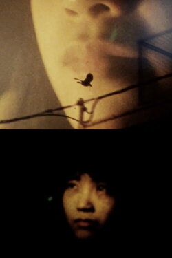 DIRECT LIGHT (1995) DIRECT LIGHT (1995)