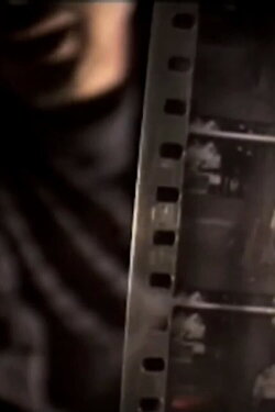 Direct Light Apology (2003)