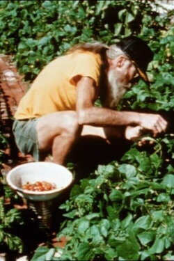 Dirt (1999) Dirt (1999)