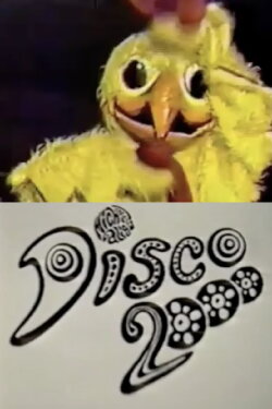 Disco 2000 (1990)